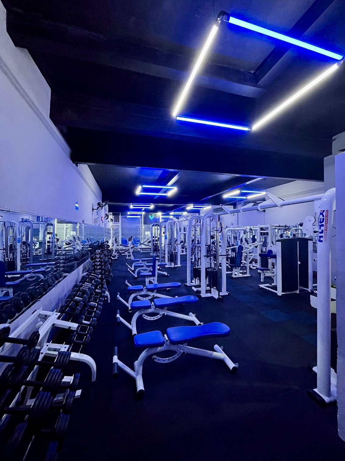 Estrutura da academia